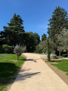 Photo de galerie - Aller en pavé sur 500m2 avec plantation de cyprès ,olivier et éclairage