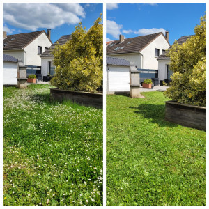 Photo de galerie - Entretien jardin 