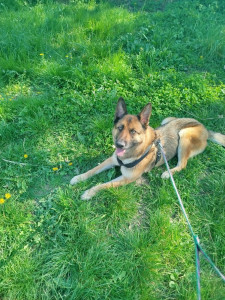 Photo de galerie - En promenade