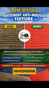 Photo de galerie - TRAITEMENT ANTI-MOUSSE