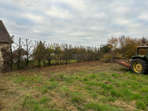 Photo de galerie - Elagage et coupe d'arbres