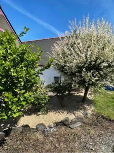 Photo de galerie - Paysagiste - Aménagement du jardin