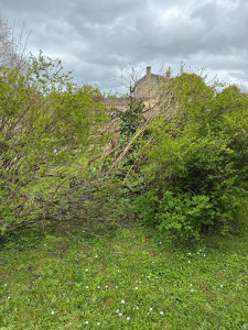 Photo de galerie - Avant 