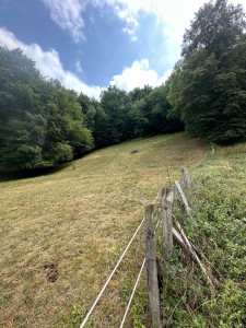 Photo de galerie - Remise en état d’une parcelle 