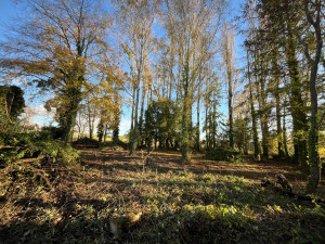 Photo de galerie - Jardin / Espace vert