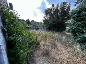 Photo de galerie - Tonte de pelouse - Débroussaillage