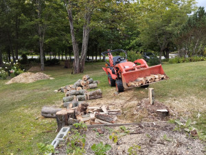 Photo de galerie - Préparation bois de chauffage 2 cordes à la hache