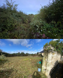 Photo de galerie - Remise en état d’un terrain pour une mise en vente 