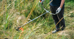 Photo de galerie - Propre coupe