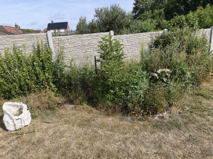 Photo de galerie - Tonte de pelouse - Débroussaillage