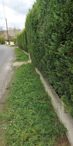 Photo de galerie - Paysagiste - Aménagement du jardin