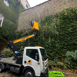 Photo de galerie - Elagage et coupe d'arbres
