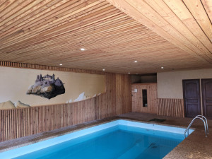Photo de galerie - Aménagement intérieur piscine bardage mélèze 