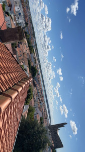 Photo de galerie - Vérification d’une toiture