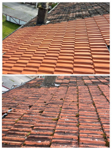 Photo de galerie - Couverture - Toiture