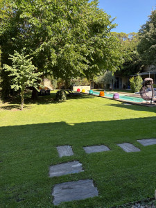 Photo de galerie - Tonte de pelouse - Débroussaillage