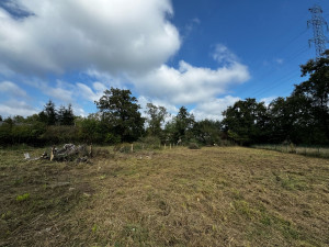 Photo de galerie - Tonte de pelouse - Débroussaillage
