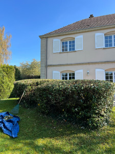 Photo de galerie - Taille propre et mise en forme de ces 2 haies 