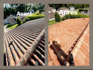 Photo de galerie - Couverture - Toiture