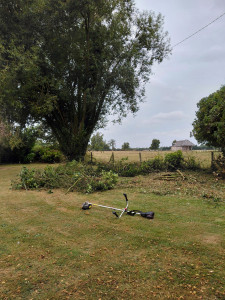 Photo de galerie - Suppression de ronsier 
