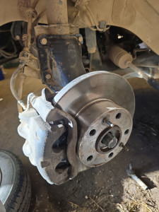 Photo de galerie - Disques 
plaquettes