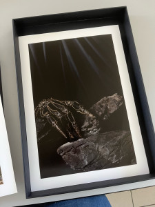 Photo de galerie - Photographe