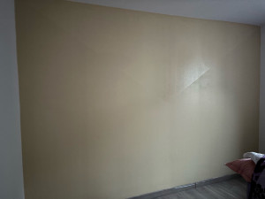 Photo de galerie - Peinture - Tapisserie