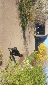 Photo de galerie - Paysagiste - Aménagement du jardin