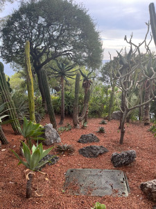 Photo de galerie - Paysagiste - Aménagement du jardin