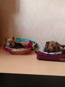 Photo de galerie - Un des compagnons de passage de Booba 