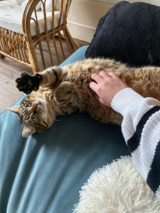 Photo de galerie - Shifu