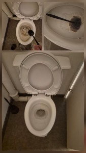 Photo de galerie - Des wc qui a pas été entrenu de pluis 3 ans 