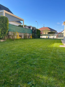 Photo de galerie - Entretien de vos extérieurs - Tonte de pelouse