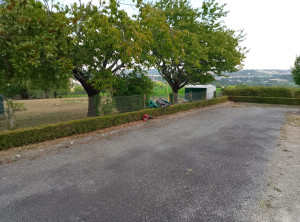 Photo de galerie - Taille de haie 