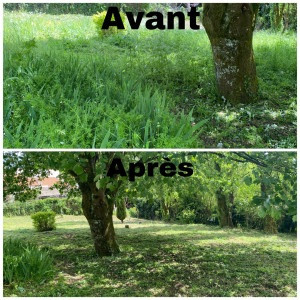 Photo de galerie - Débroussaillage 