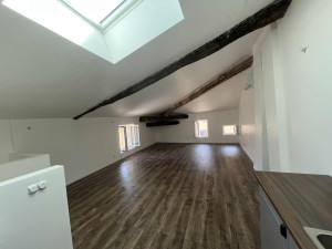 Photo de galerie - Pistolet à peinture