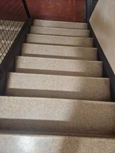 Photo de galerie - Nettoyage marche pied