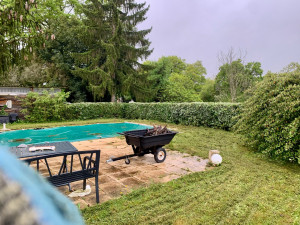 Photo de galerie - Taille de haies et d'arbustes