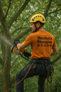 Photo de galerie - élagage à Bain-de-Bretagne 