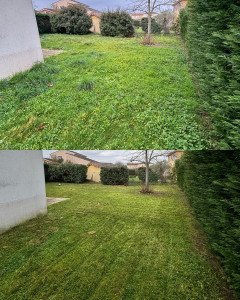 Photo de galerie - Tonte d'un jardin privatif dans une résidence 