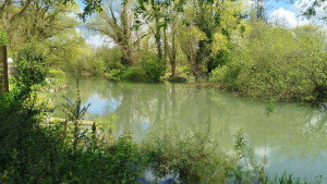 Photo de galerie - La.Canche 