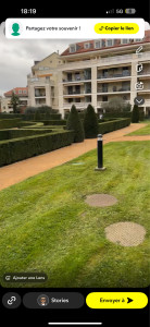 Photo de galerie - Taille de haies et d'arbustes