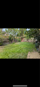 Photo de galerie - Paysagiste - Aménagement du jardin