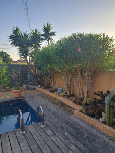 Photo de galerie - Réhaussement des Lauriers
Taille et nettoyage des massifs