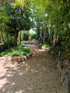 Photo de galerie - Nettoyage de jardins