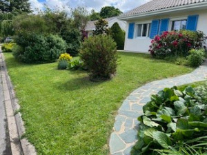 Photo de galerie - Tonte de pelouse