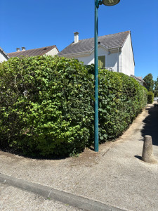 Photo de galerie - Après 