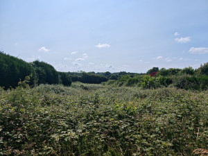 Photo de galerie - Avant/Après (voir 2ème photo)