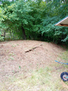 Photo de galerie - Un grand nettoyage à été réalisé car les ronces avaient envahi le sol 