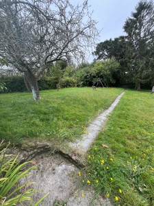 Photo de galerie - Un jardin avant tonte et débroussaillage